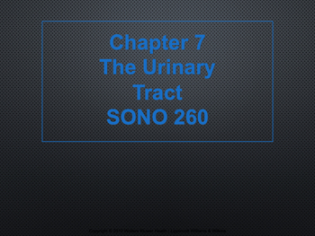 Chapter07 URINARY SISTEM