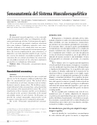 Articulo : Sonoanatomia Musculoesqueletal