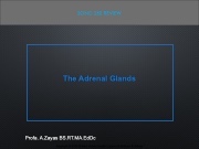 ADRENAL GLAND sono 260