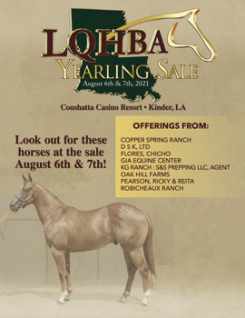 LQHBA Yearling Sale 2021