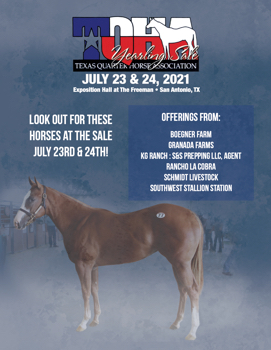 TQHA Yearling Sale 2021