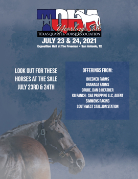 TQHA Yearling Sale 2021