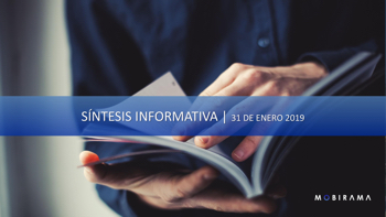 Sintesis 31 de enero 2019