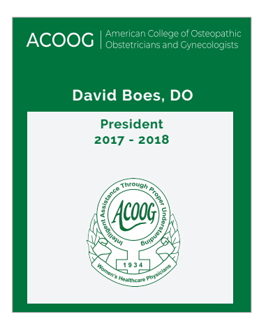 David J Boes, DO, FACOOG (Dist)