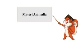 Flipbook Animalia