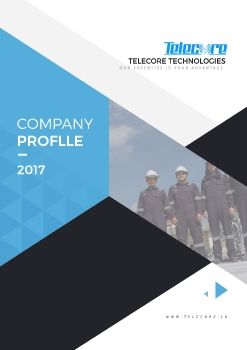 2017 Business Profile