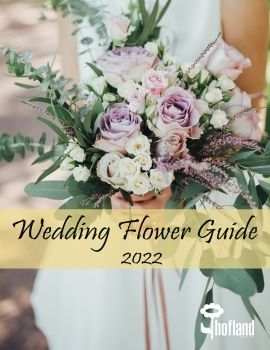 WEDDING GUIDE 2022 - no $