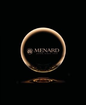 Menard Products 2021