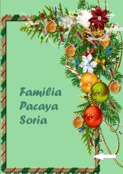 FAMILIA PACAYA FELIZ NAVIDAD