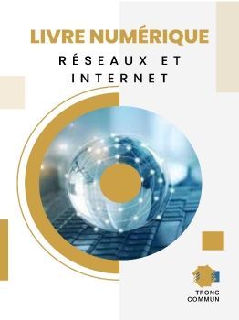 livre numérique réseau et internet 