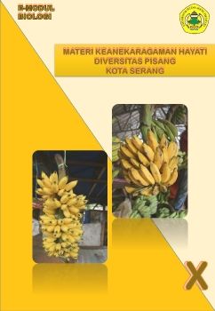 Test 1 E-Modul
