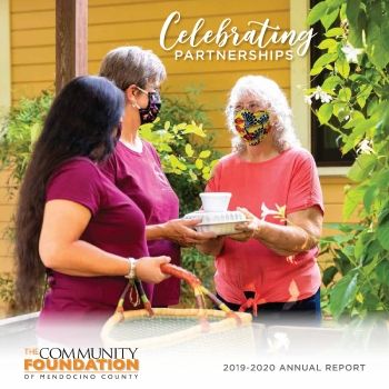 2019-2020 Annual Report v3