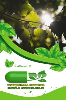 catalogo carta