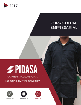 CV empresarial_PIDASA