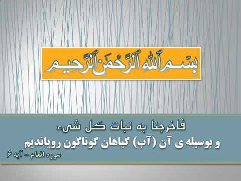 avand