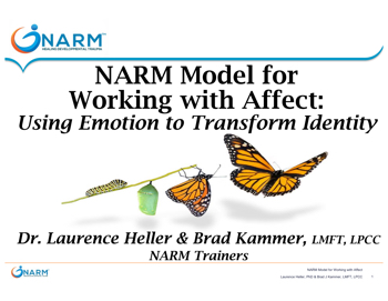 NARM Model for Working with Affect 