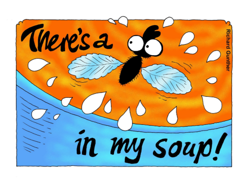 There's a Fly In My Soup - Premium