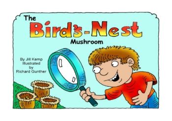 The Birds Nest Mushroom - lambsongs