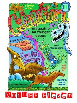 Creation Magazine For Younger Readers Vol 11 - Premium