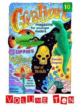 Creation Magazine For Younger Readers  Vol 10 - Premium