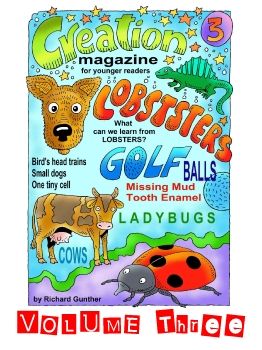 Creation Magazine For Young Readers Vol 3 - Premium