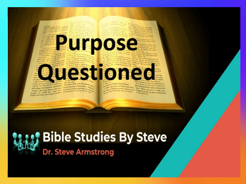 Purpose Questioned - Bible Studies by Steve