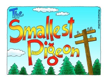 The Smallest Pigeon