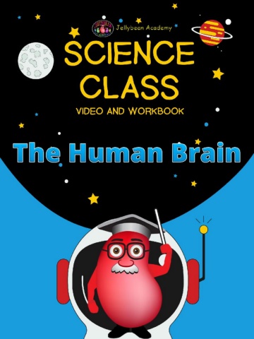 The Human Brain - Science Class  - Premium