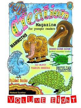 Creation Magazine For Younger Readers Vol 8 - Premium