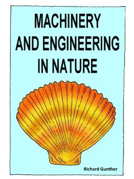 Think About Machinery and Engineering in Nature - Premium