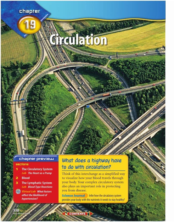 Chapter 19: Circulation