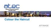 Colour the Haircut