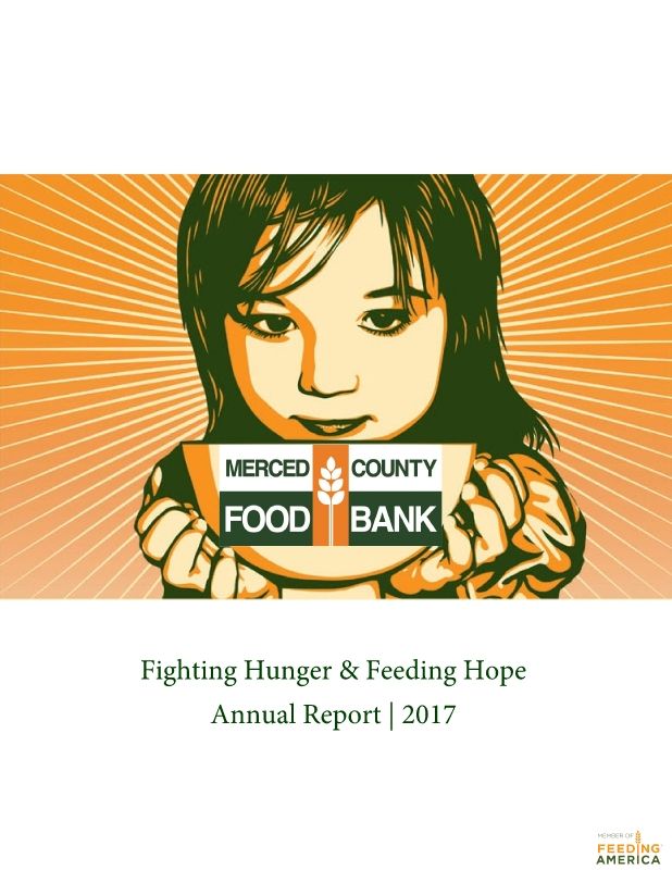 Annual Report  2017