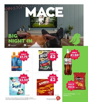 MACE P14 2019 Leaflet