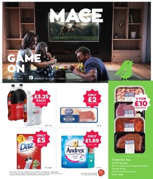 MACE P3 2020 LEAFLET