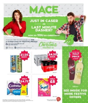 MACE P17 2020 Leaflet