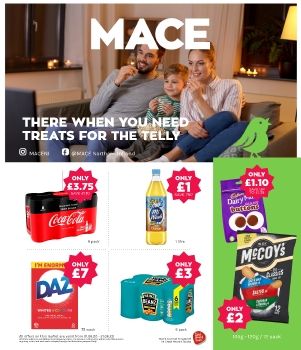 MACE P8 2020 Leaflet