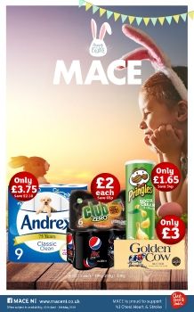 MACE P6 2019 Leaflet