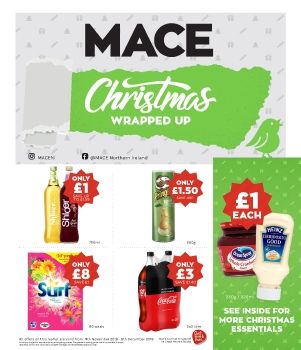 MACE P16 2019 Leaflet