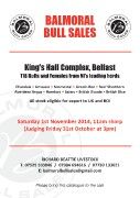 113166 Balmoral Bulls Sale Oct 2014_Neat