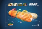 DEKALB Product Guide 2017