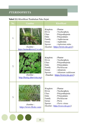 Page 51 E MODUL KINGDOM PLANTAE