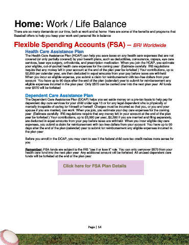 Flexible Spending Account (FSA), BRI