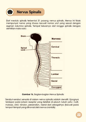 Page 25 - FLIPBOOK FINAL SISTEM KOORDINASI