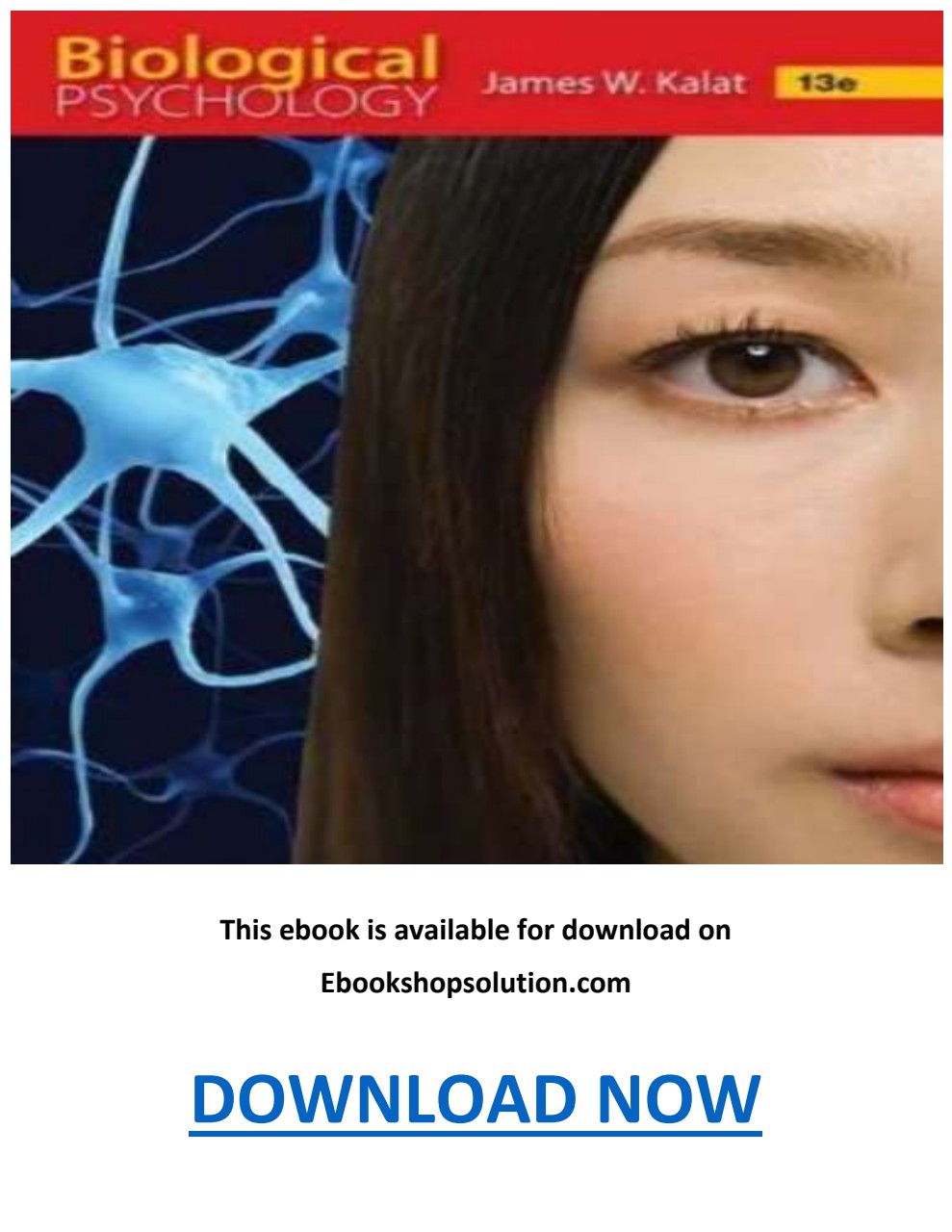 Biological Psychology 13th Edition PDF by James W. Kalat - Flip