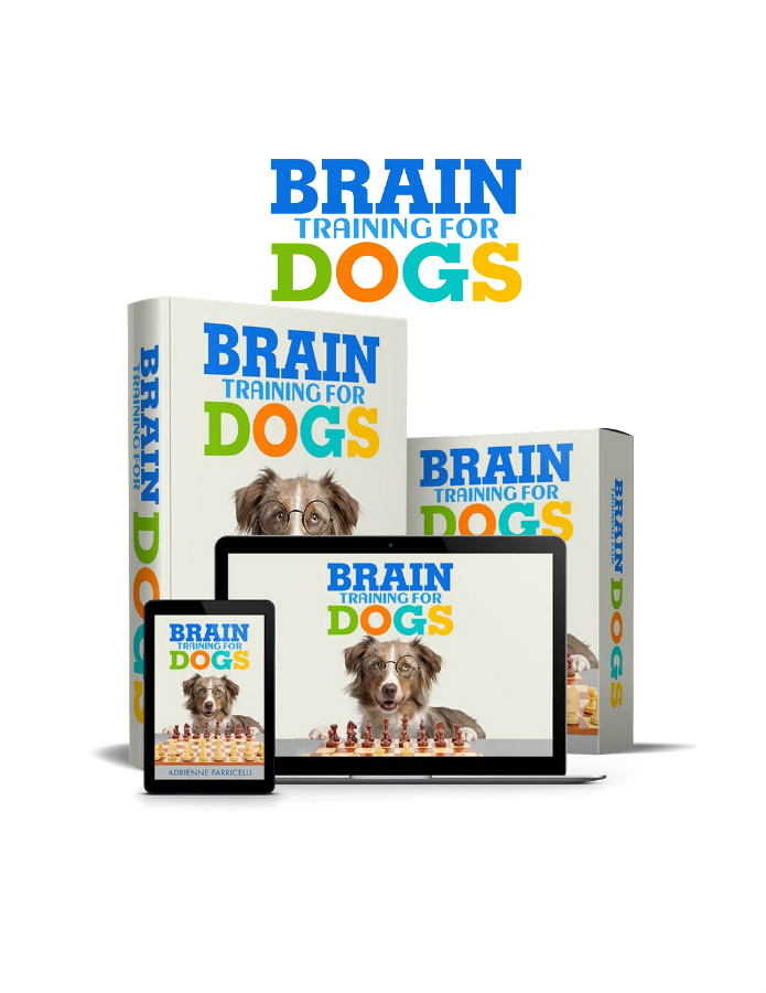 Brain Training For Dogs FREE eBook: The Airplane Game – Dog Riches eStore