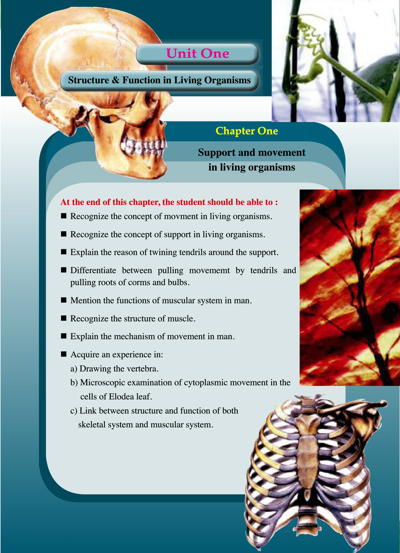 Support and movement
