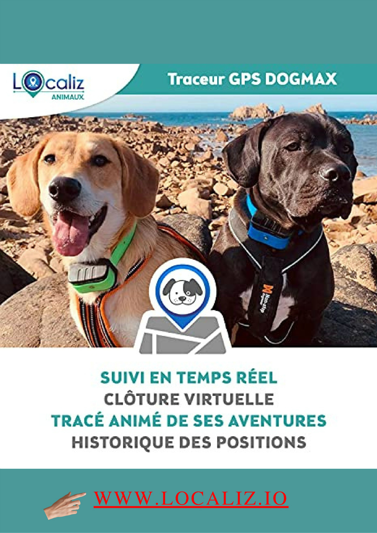 l'inné et l'acquis, le magazine qui a du chien N°11 sept./ oct. 2022 — free download