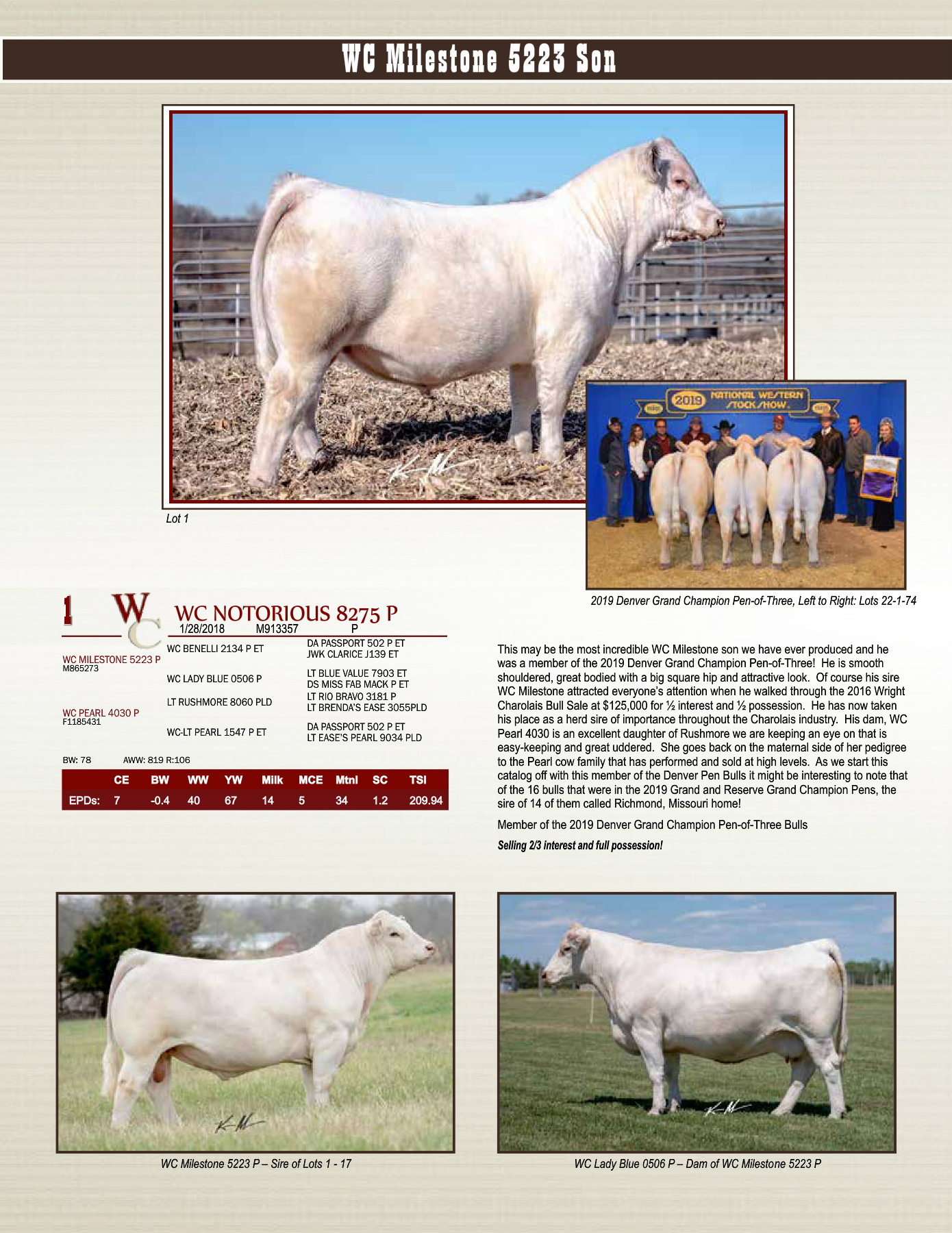 2019 Bull Sale Catalog