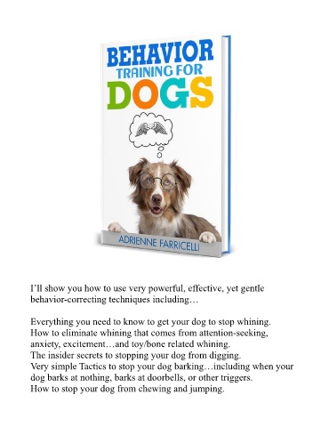 Page 4 - (PDF) Brain Training For Dogs Adrienne Farricelli